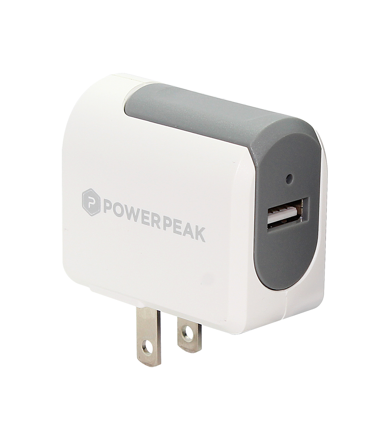 Compact Rapid Wall Charger